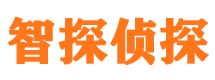 惠东市侦探调查公司